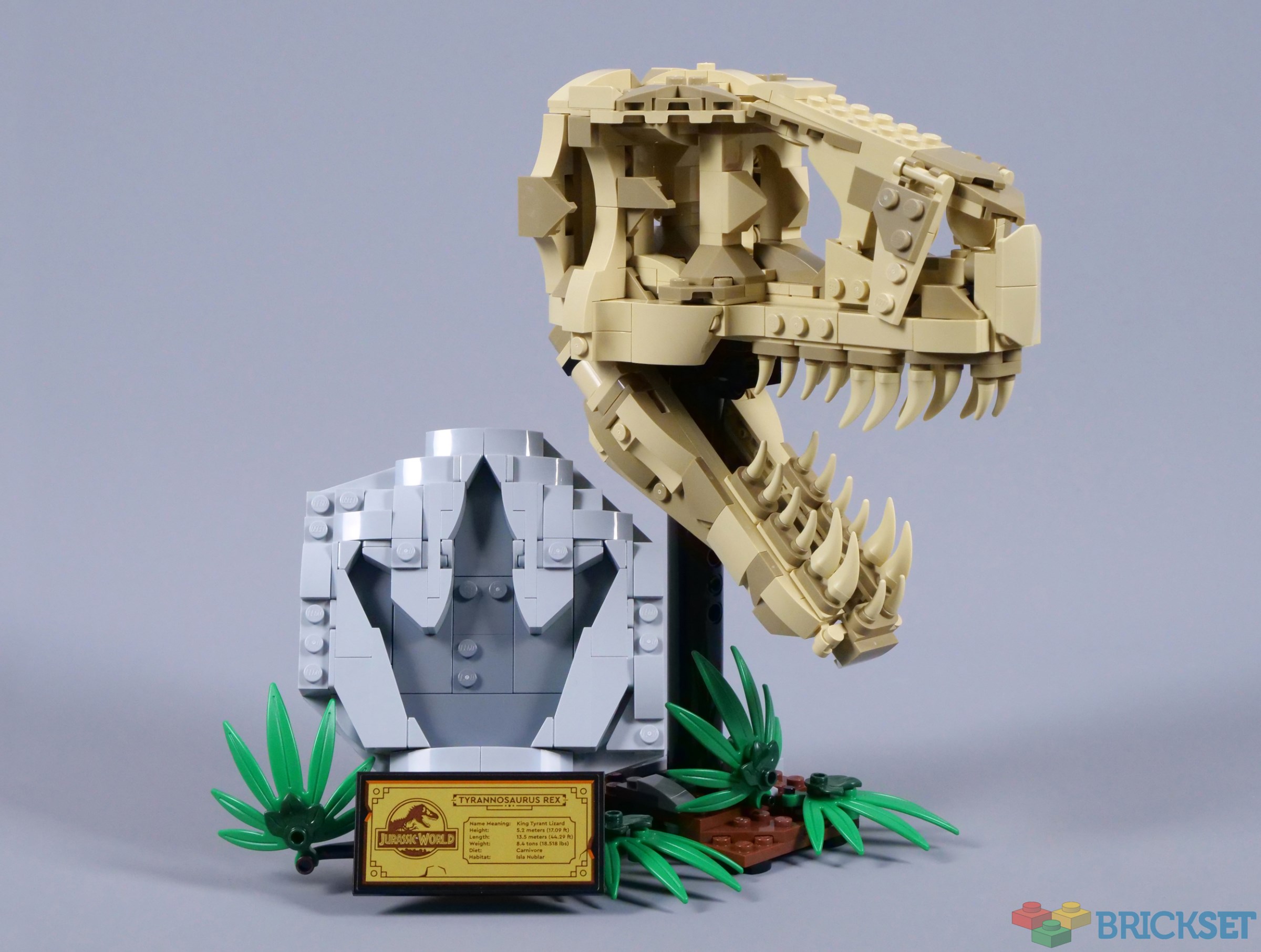 LEGO 76964 Dinosaur Fossils T. rex Skull review Brickset